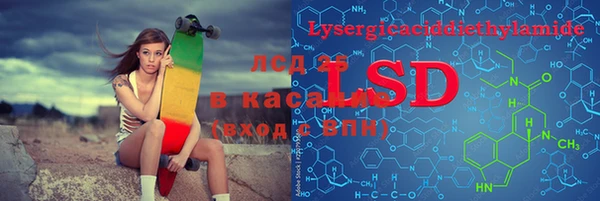 прущие грибы Алексеевка