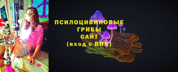 прущие грибы Алексеевка
