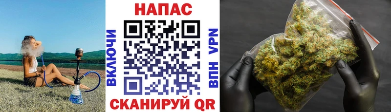 Канабис Bruce Banner Сунжа